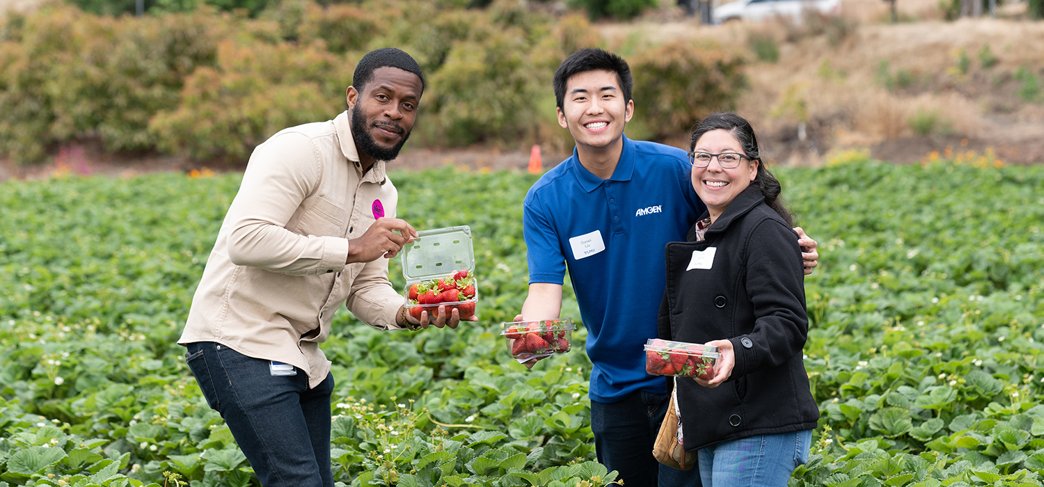 Three students standing in a strawberry field displaying the strawberries they just picked.